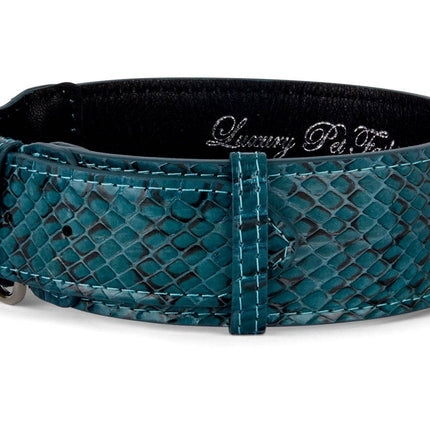 Teal and Black Snake Classic Collar