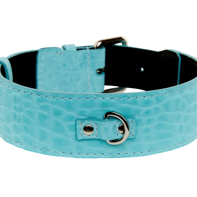 Turquoise Blue Distressed Italian Leather Classic Collar