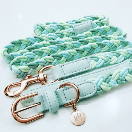 Dog Collar Aquamarine Plaited