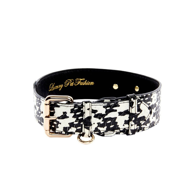 Black & White Snake Collar With Classic Gold Hardware