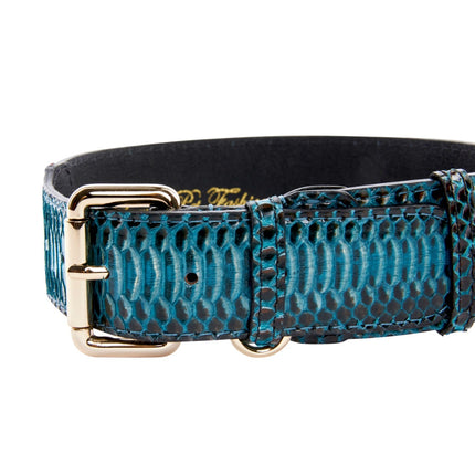 Turquoise, Black Snake Classic Collar With Gold Classic Hardware