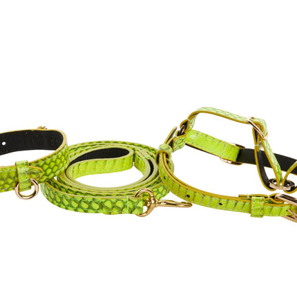 XS Light Neon Green Snake Collar Leash, Harness Set