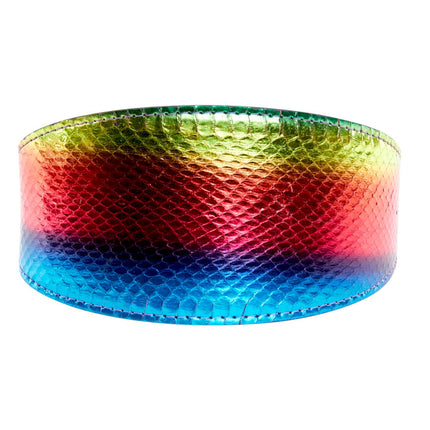 Pride Collection. Rainbow Snake 3” Wide Style Collar