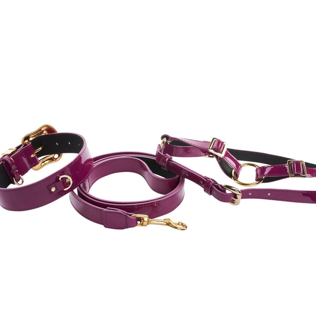 Purple Patent Italian Leather/Swarovski Crystal Hardware Collar, Leash & Harness Set