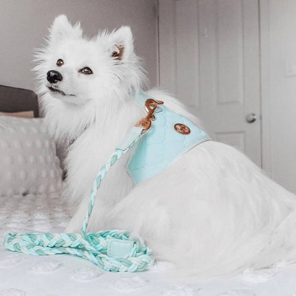 The Aquamarine Dog Harness