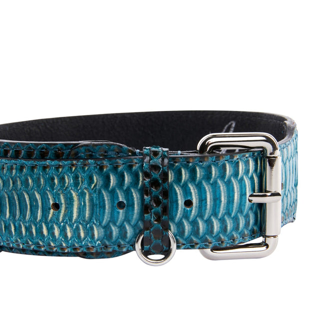 Turquoise, Black Snake Classic Collar With Silver Classic Hardware