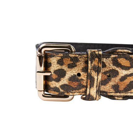 Leopard Print Italian Leather Collar With Gold Classic Hardware