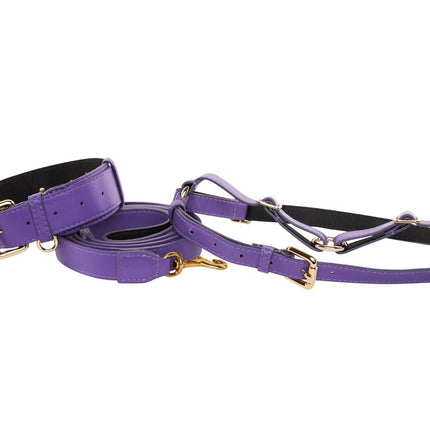 Purple Italian Leather Classic Collar, Leash, Harness Set