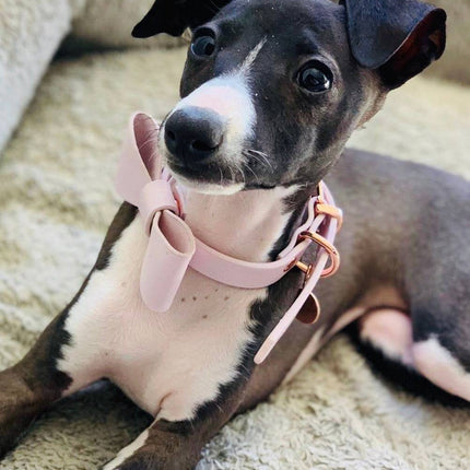 Leather Bow Collar - Blush