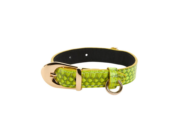 XS Light Neon Green Snake Collar With Gold Vintage Inspired Italian Hardware