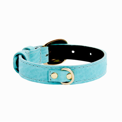 XS Turquoise Blue Italian Leather Collar With Gold Oval Buckle