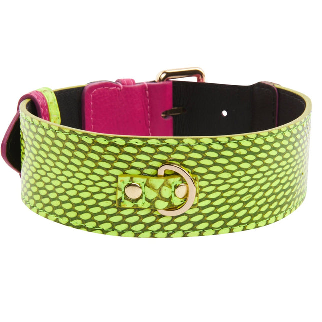 Neon Green Snake With Fuchsia Pink Italian Leather With Gold Classic Hardware