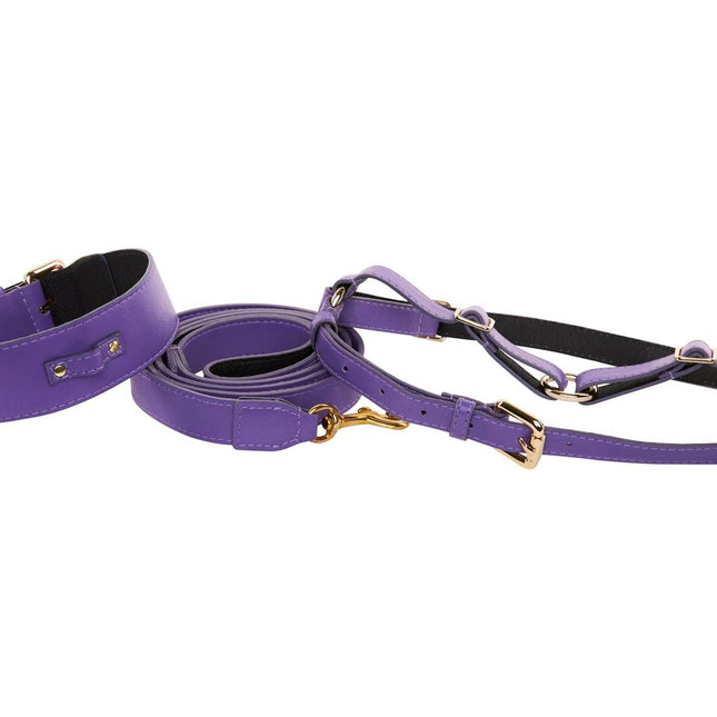 Purple Italian Leather Classic Collar, Leash, Harness Set