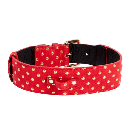 Red & Gold Polka Dot Italian Leather Classic Collar