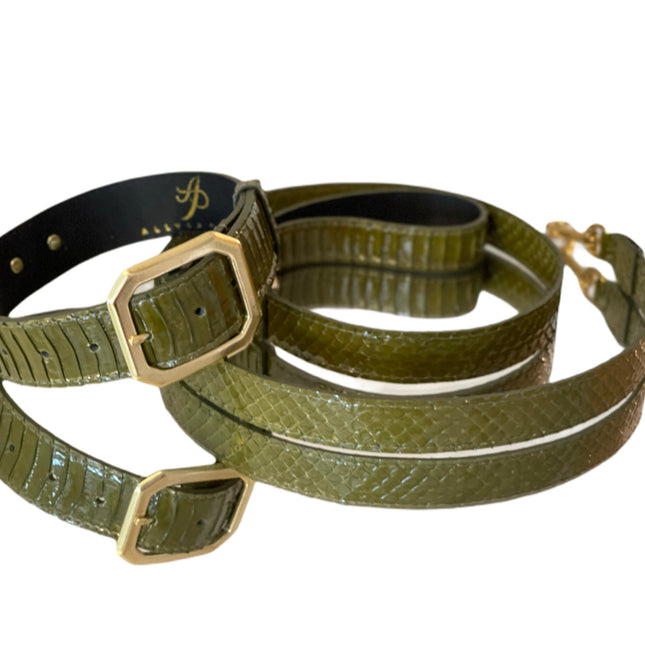 Luxury Pet Fashion Olive Snakeskin Collar & Leash Set