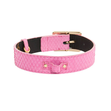 Luxury Pet Fashion Neon Pink Snake Collar With Our Modern Gold Hardware