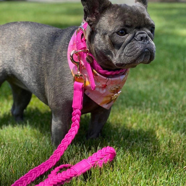 Dog Lead Lipstick Pink Plaited