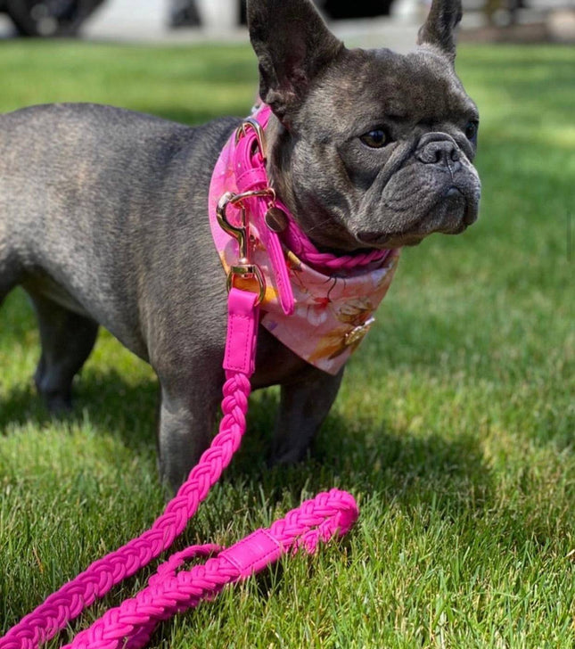 Dog Lead Lipstick Pink Plaited