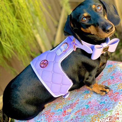 The Lilac Dog Harness