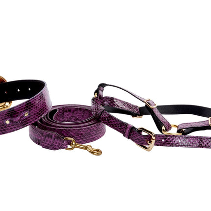 Luxury Pet Fashion Purple & Black Viper Snake Collar With Swarovski Crystal Hardware