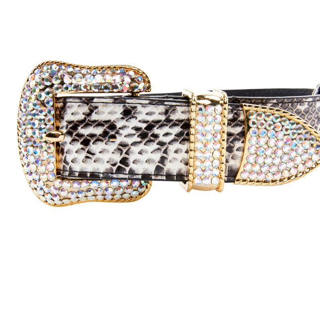 Black & White Viper Snake Collar With Gold Swarovski Crystal Hardware