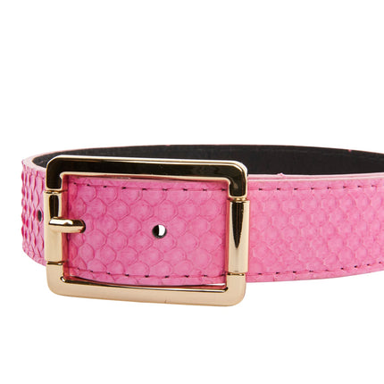 Luxury Pet Fashion Neon Pink Snake Collar With Our Modern Gold Hardware