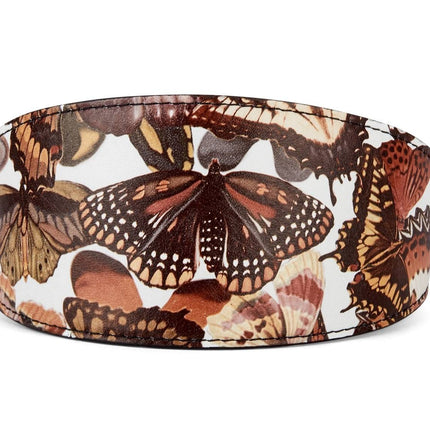 Butterfly Print Italian Leather 3” Wide Style Collar