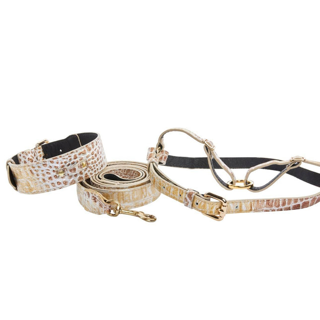 Silver/Bronze/Gold Italian Leather Embossed Croc Classic Collar, Leash & Harness Set