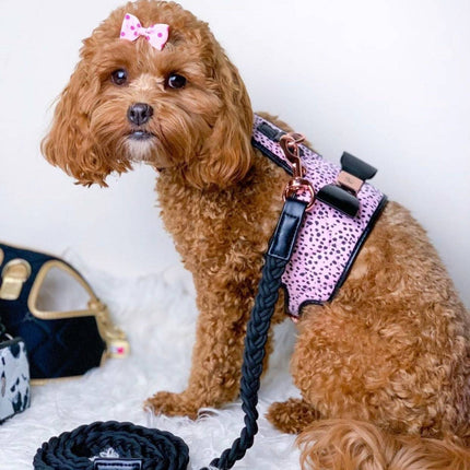 The Dahlia Dog Harness