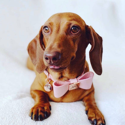 Leather Bow Collar - Peony