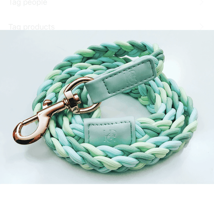 Dog Lead Aquamarine Plaited