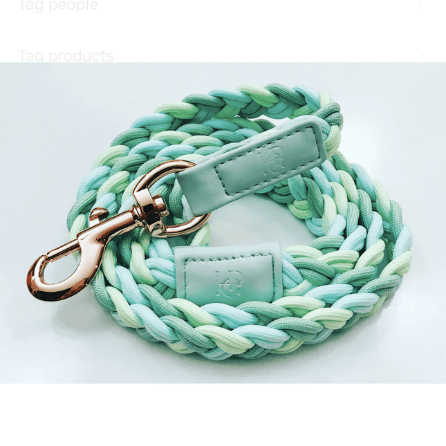 Dog Lead Aquamarine Plaited