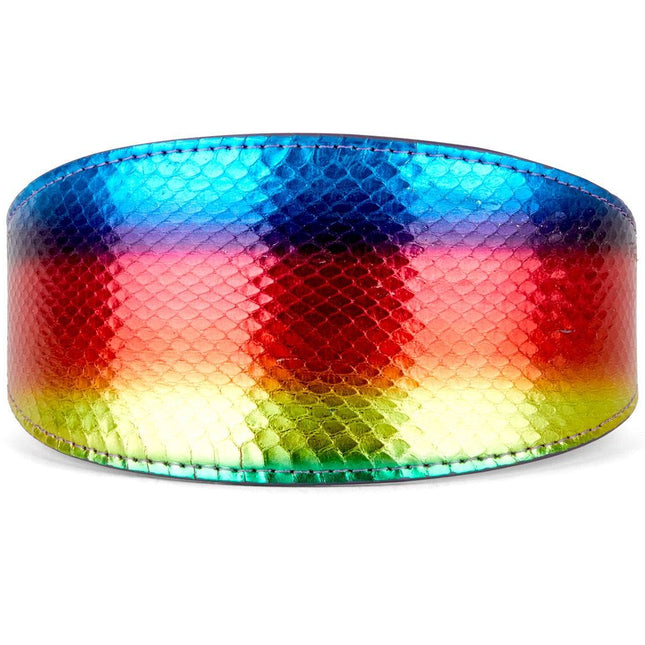 Rainbow Snake 3” Wide Style Collar