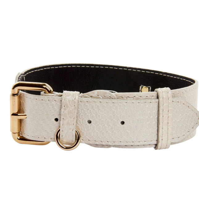 Iridescent Off White Snake Collar With Gold Classic Hardware