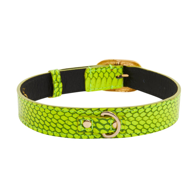 Neon Green Snake/Vintage Black & Gold Italian HardwareCollar