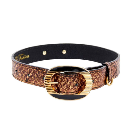 Bronze Gold Snake With Vintage Black & Gold Custom Italian Hardware Collar