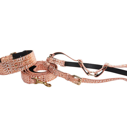 Copper Embossed Croc Italian Leather With Classic Collar, Leash & Harness