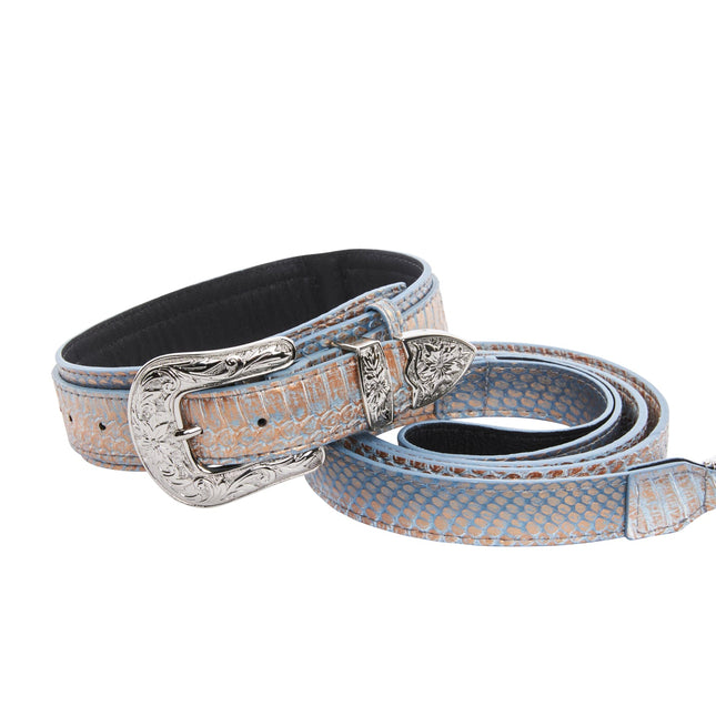 Luxury Pet Fashion Baby Blue/Blue/Bronze Snake Collar & Leash Set, Finished with Silver Floral Western Hardware