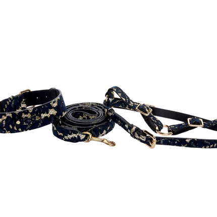 Dark Navy Lace On Gold Italian Leather Classic Collar, Leash & Harness Set