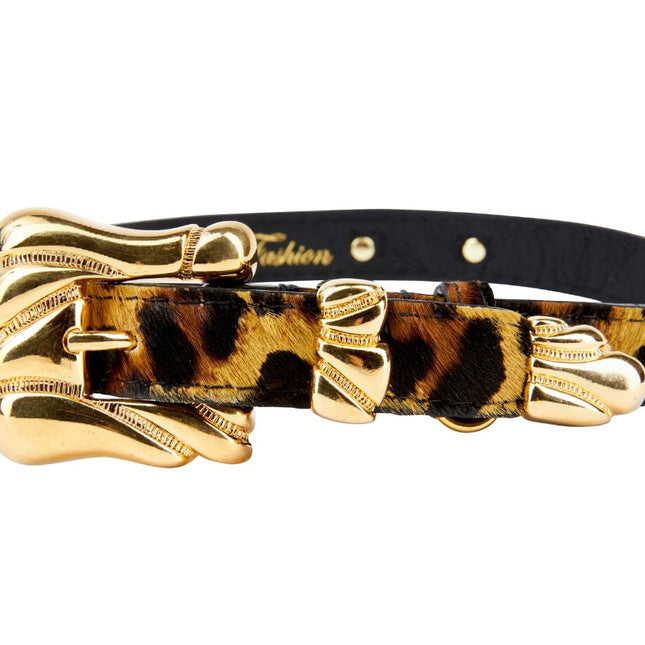 Leopard Print Hair On Hide Italian Leather Collar With Ornate Italian Hardware