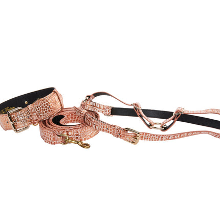 Copper Embossed Croc Italian Leather With Classic Collar, Leash & Harness