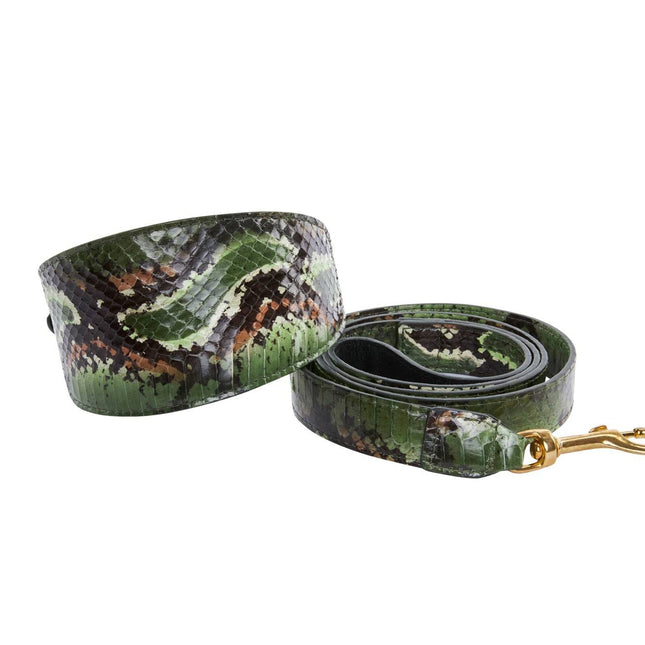 Multi Color Green Snake 3” Wide Style Collar & Leash Set