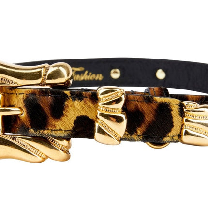 Leopard Print Hair On Hide Italian Leather Collar With Ornate Italian Hardware