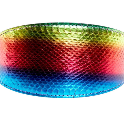 Pride Collection. Rainbow Snake 3” Wide Style Collar