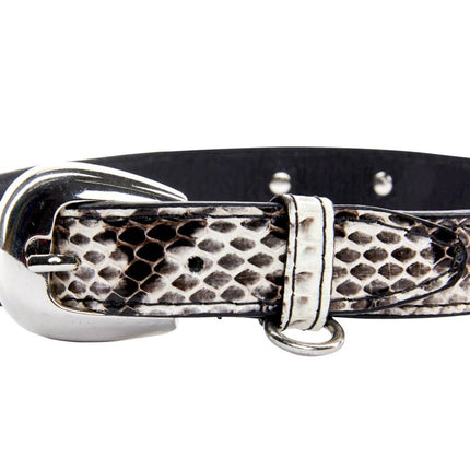 Black & White Viper Snake Collar With Silver Oval Italian Hardware