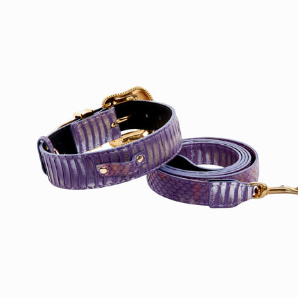 Luxury Pet Fashion Purple/Silver Multi-Tone Snakeskin Collar & Leash Set With Our Swarovski Crystal Hardware