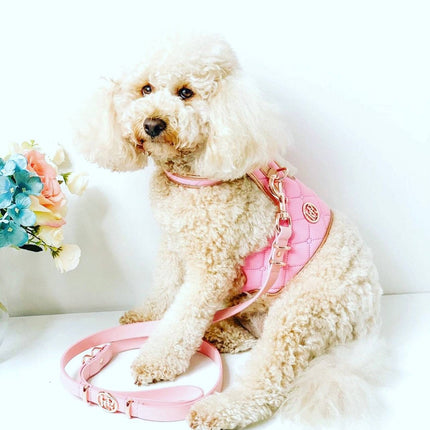 The Peony Dog Harness