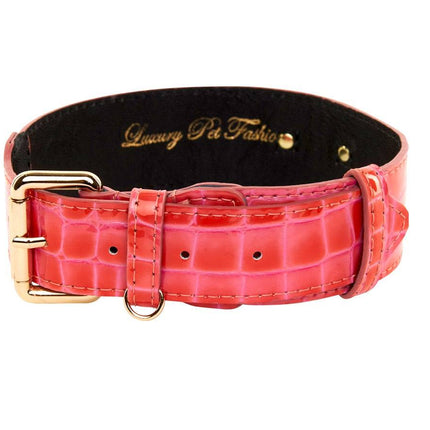 Orange & Pink Patent Leather Classic Collar