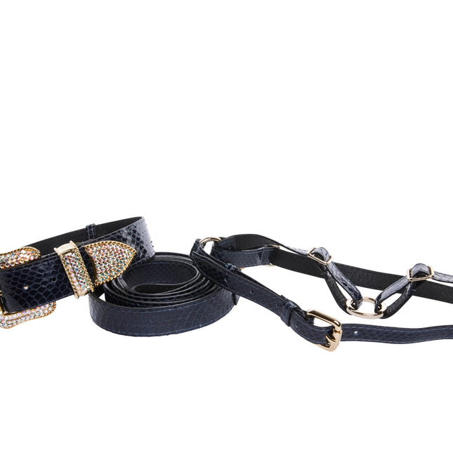 Navy Blue Snake Swarovski Crystal Hardware Collar, Leash, & Harness Set