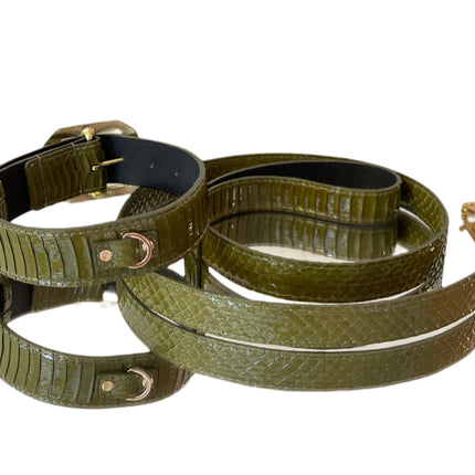 Luxury Pet Fashion Olive Snakeskin Collar & Leash Set